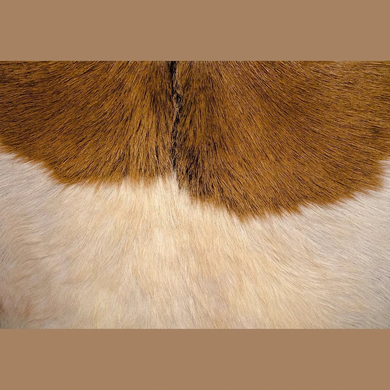 Rio Cool Armchair - Brown Mindi Oak, Leather/Goat Hair
