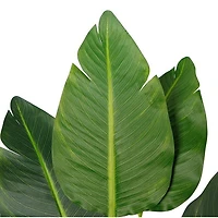 Bird Of Paradise Faux Plant 90cm/ 35.4"
