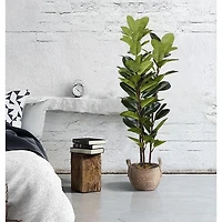 Oak Tree Faux Plant 160cm/ 63