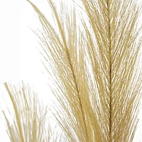 Gold Pampas Grass