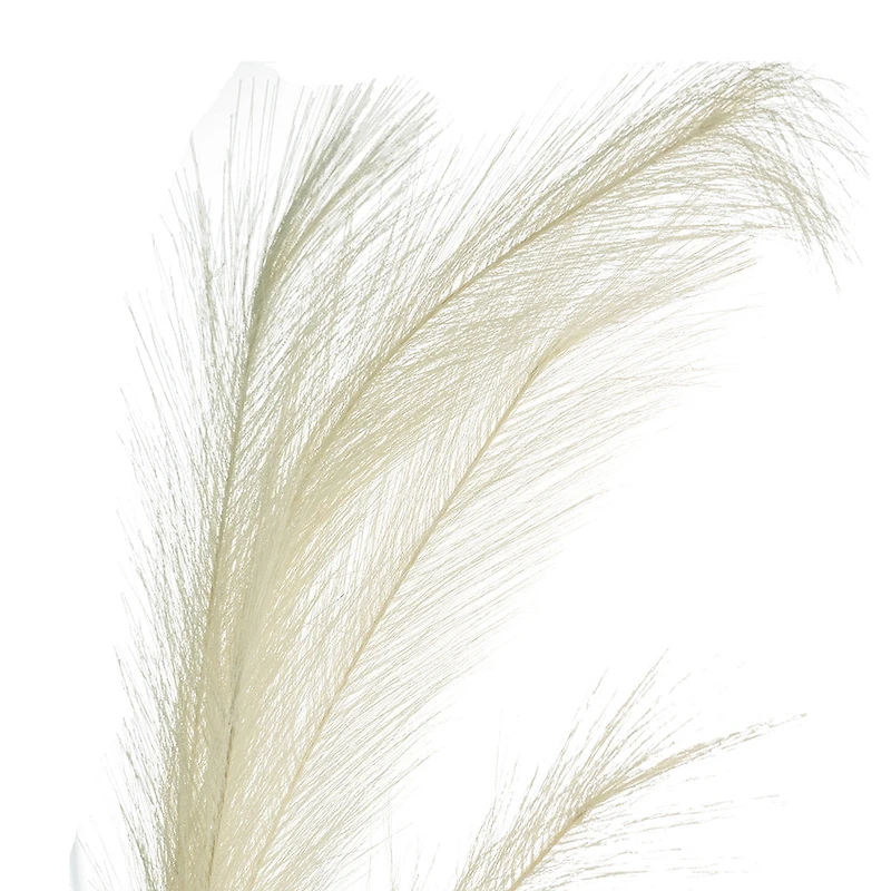 White Pampas Grass