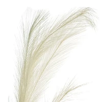 White Pampas Grass