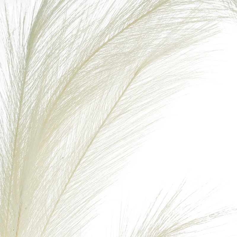 White Pampas Grass