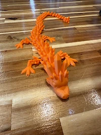 Dragons