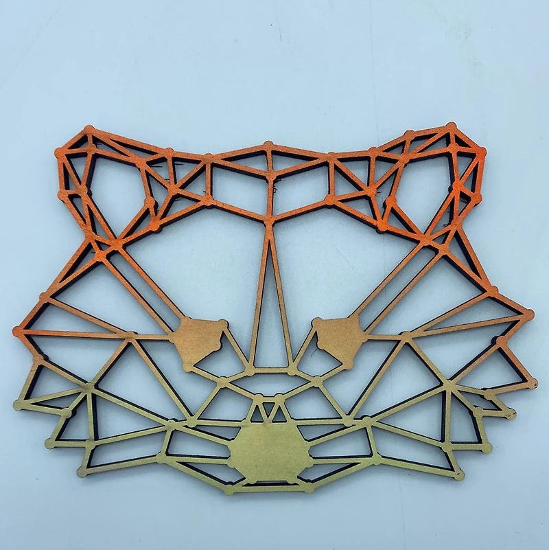 Geometric Raccoon