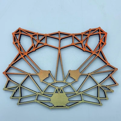 Geometric Raccoon