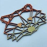 Geometric Raccoon