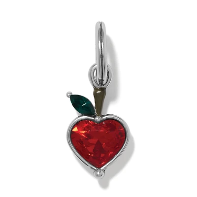 Class Apple Charm