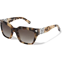 Contempo Dot Sunglasses
