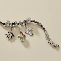 Desert Bloom Cactus Charm