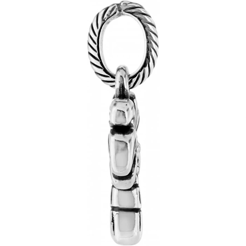 Desert Palm Charm