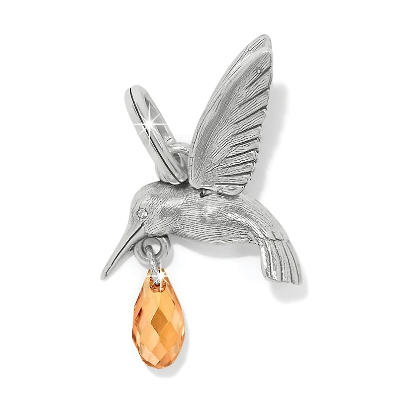 Hummingbird Charm