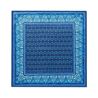 India Print Scarf
