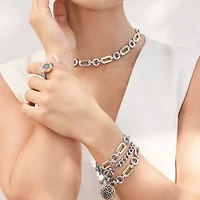 Medici Link Two Tone Necklace