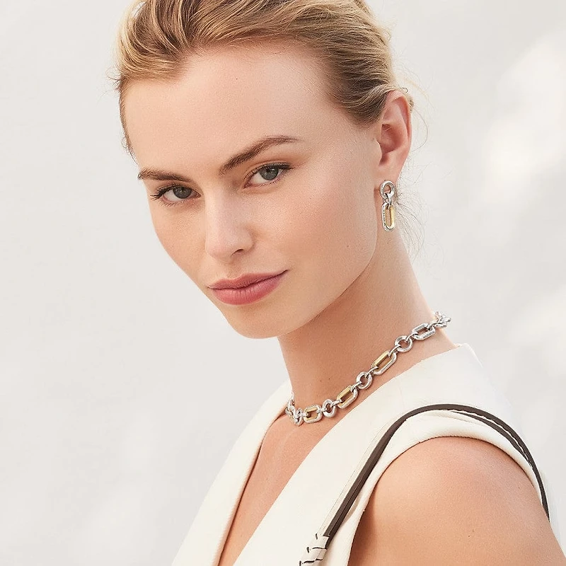 Medici Link Two Tone Necklace