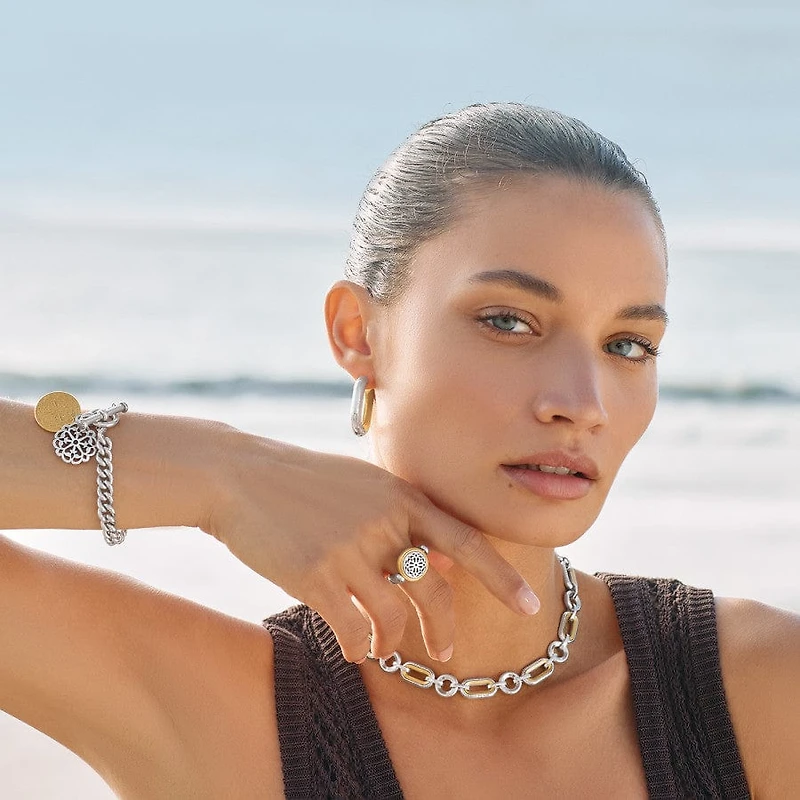 Medici Link Two Tone Necklace