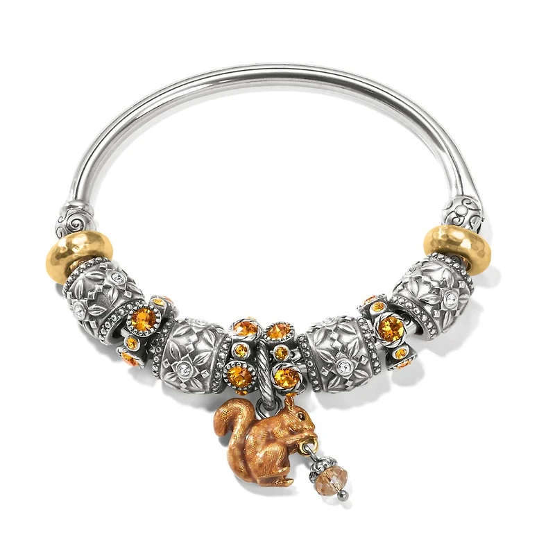 Squirrel Charm