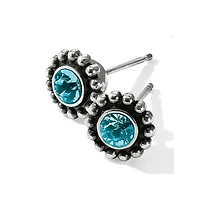 Twinkle Mini Post Earrings