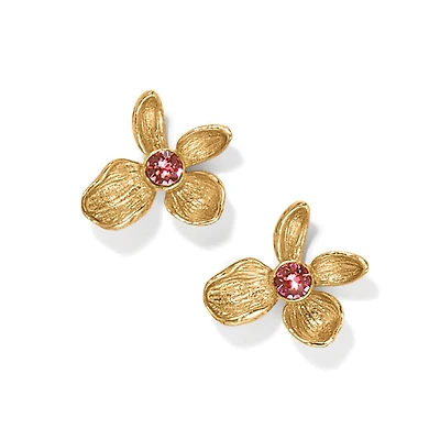 Everbloom Jardin Golden Post Earrings