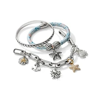 Sunset Cove Dollar Charm