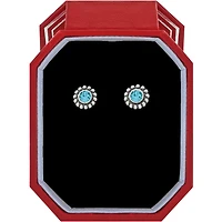 Twinkle Zircon Mini Post Earrings Gift Box