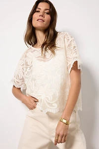 Lily Lace Dolman Sleeve Tee