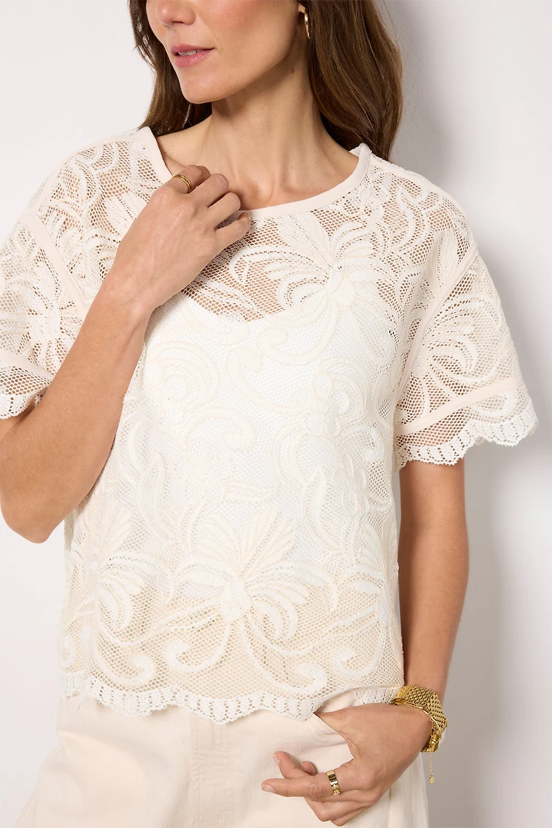 Lily Lace Dolman Sleeve Tee