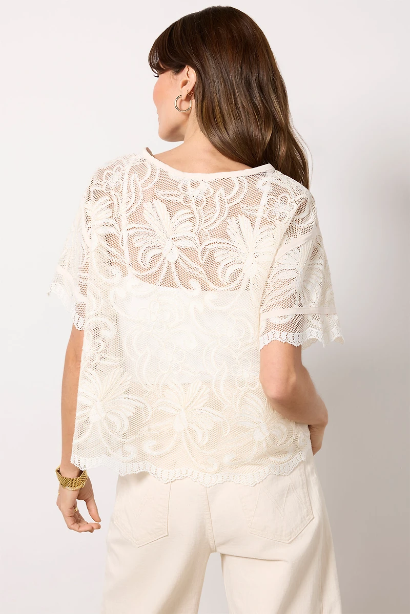 Lily Lace Dolman Sleeve Tee
