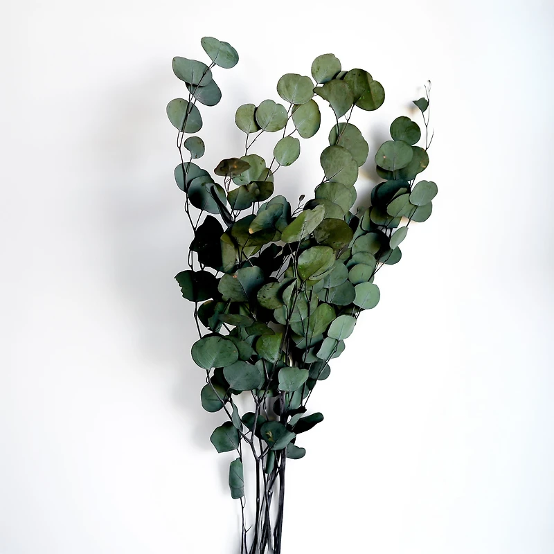 Bouquet d'eucalyptus - 25"