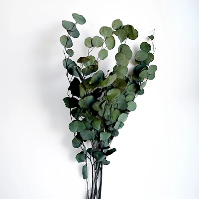 Bouquet d'eucalyptus - 25"