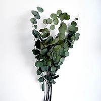Bouquet d'eucalyptus - 25"