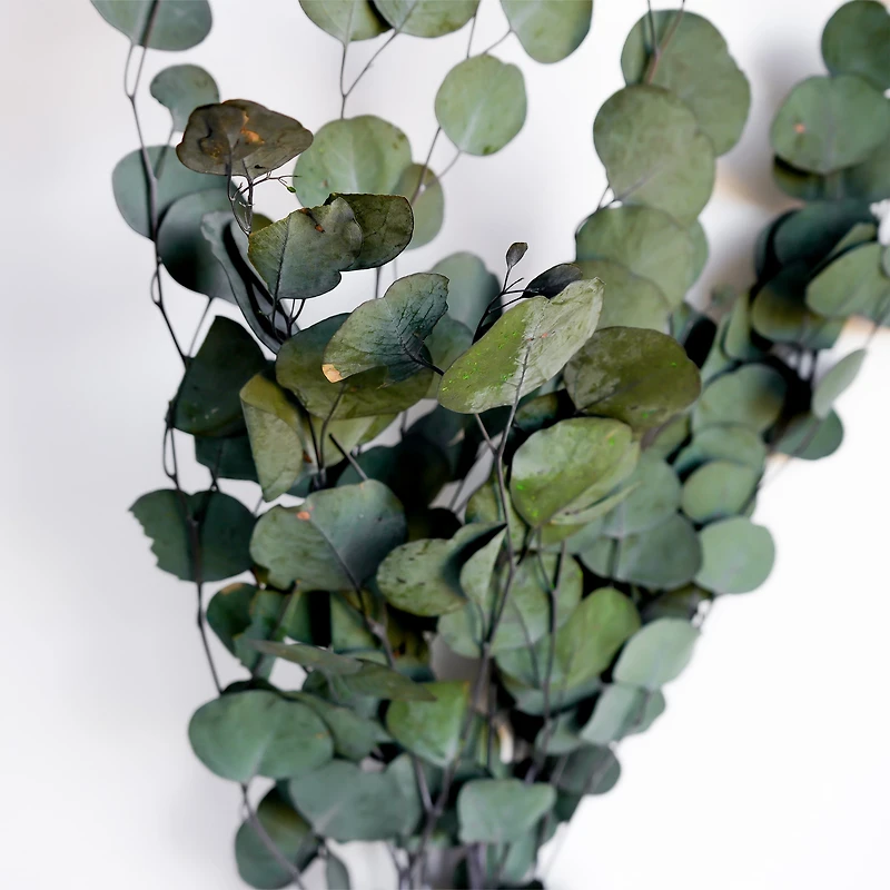 Bouquet d'eucalyptus - 25"