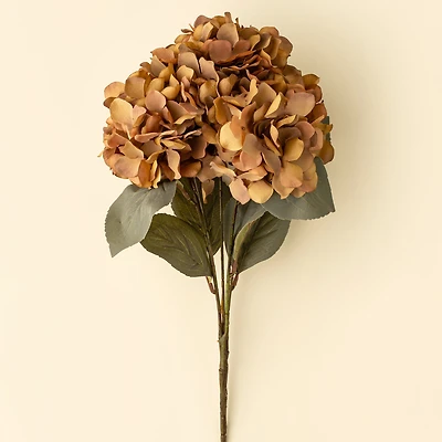 Hydrangea branch - Burnt orange