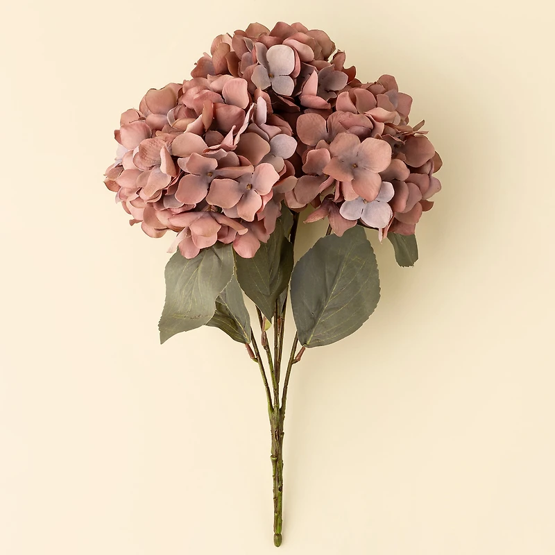 Hydrangea branch - Old rose