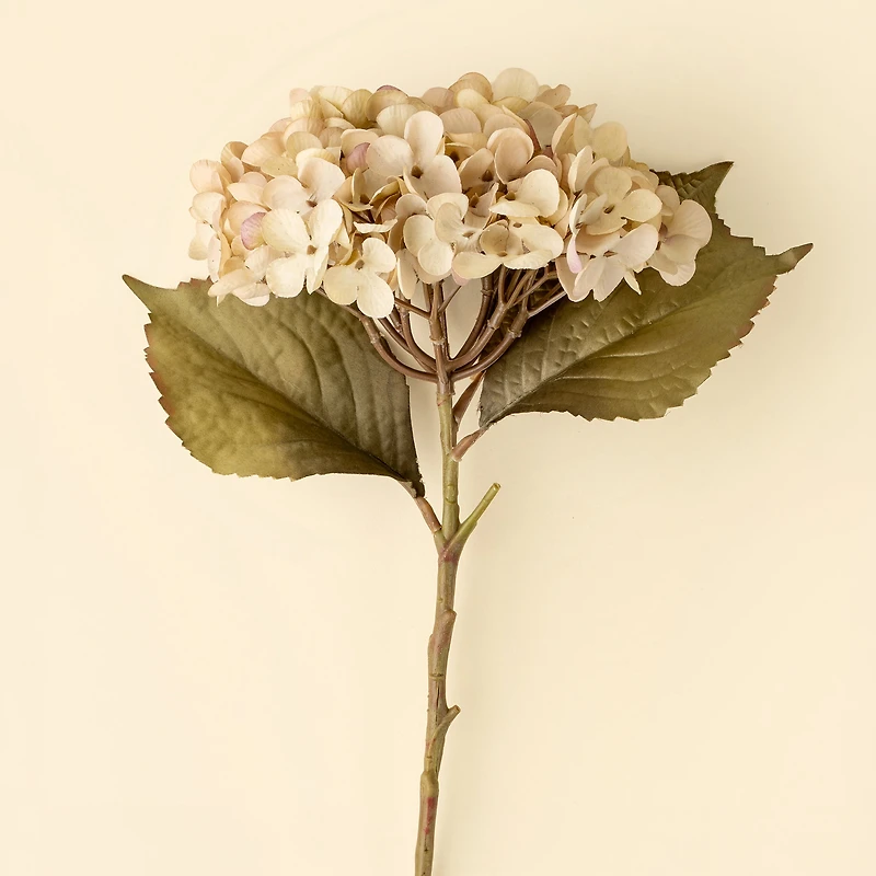 Hydrangea branch - White