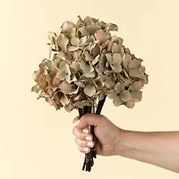 Bouquet d'hydrangées - Vert