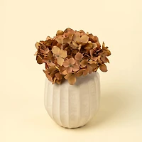 Hydrangea bouquet - Rust