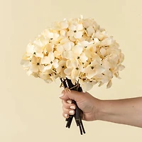 Hydrangea bouquet - Cream