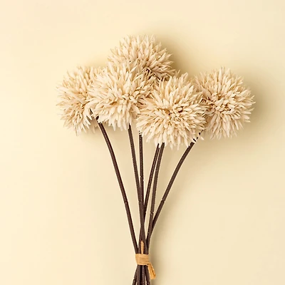 Bouquet d'allium - Crème