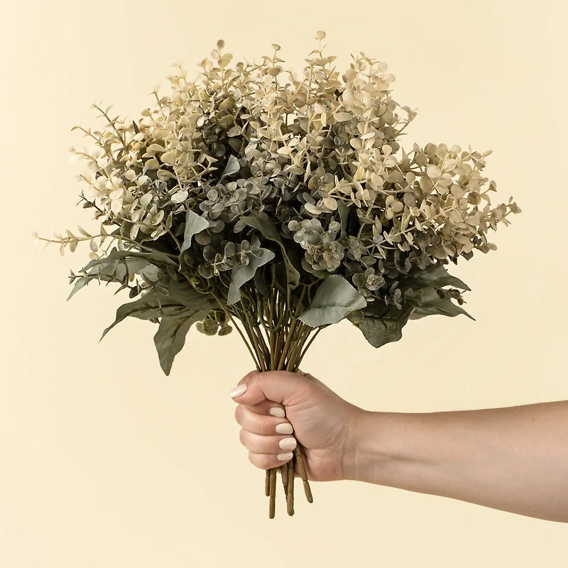 Eucalyptus stem - Primrue