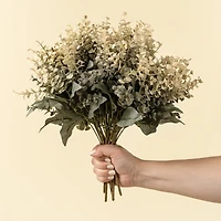 Eucalyptus stem - Primrue