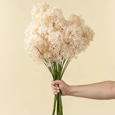 Allium stem - Champagne