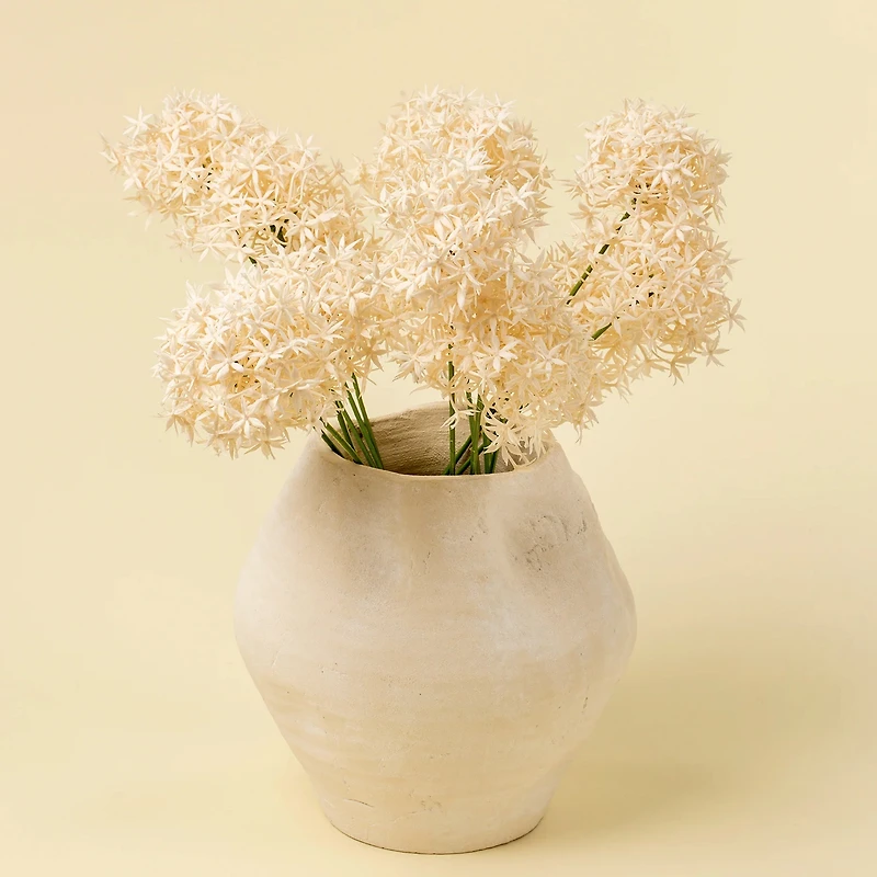 Allium stem - Champagne