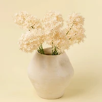 Allium stem - Champagne