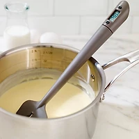 Spatule-thermomètre