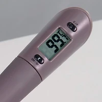 Spatule-thermomètre