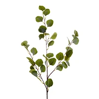 Leafs branch - 37"