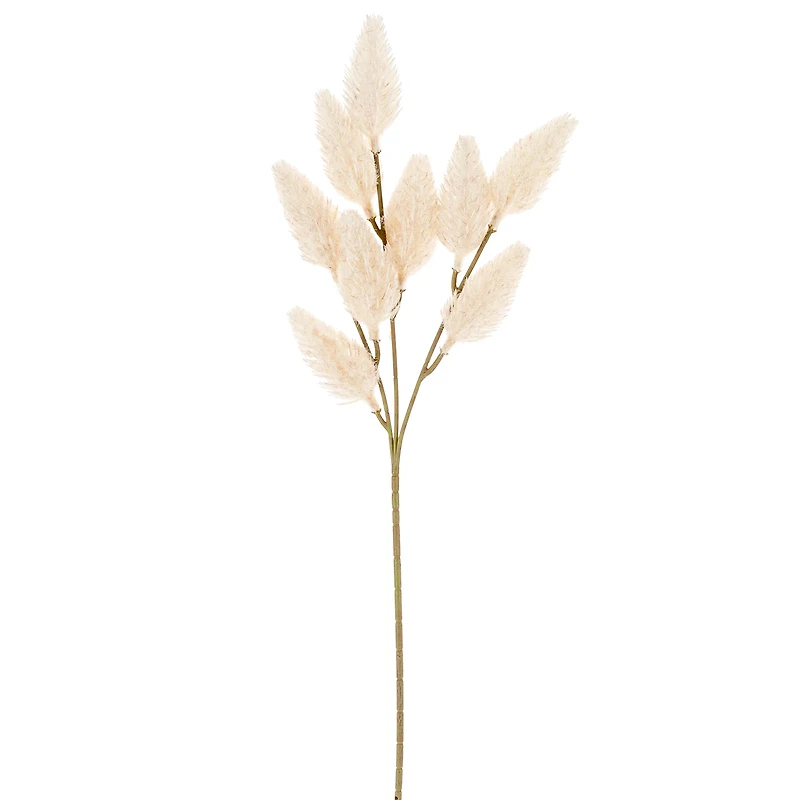 Branche bunny tail - Crème
