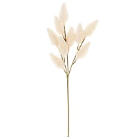 Branche bunny tail - Crème