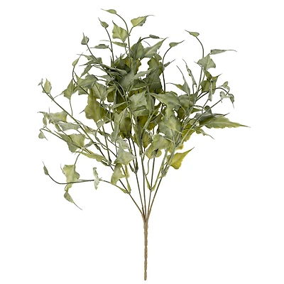 Bouquet de lierre